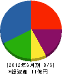 新大阪工業 貸借対照表 2012年6月期