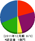 薄井組 貸借対照表 2011年12月期