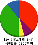 藤井商店 貸借対照表 2010年2月期