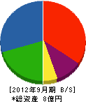冨田組 貸借対照表 2012年9月期