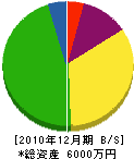 楠本組 貸借対照表 2010年12月期