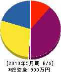 丸松電気 貸借対照表 2010年5月期