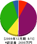 菅谷製作所 貸借対照表 2009年12月期