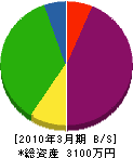 川＊電気商会 貸借対照表 2010年3月期