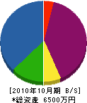 関根組 貸借対照表 2010年10月期