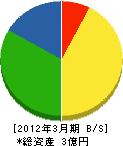 松戸水道センター 貸借対照表 2012年3月期