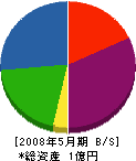 藤原工業 貸借対照表 2008年5月期