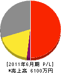 西東京興産 損益計算書 2011年6月期
