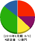 森田硝子 貸借対照表 2010年6月期