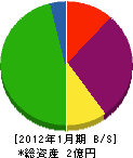 櫻田石材 貸借対照表 2012年1月期