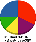 栄土木 貸借対照表 2009年3月期