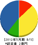 矢崎組 貸借対照表 2012年5月期