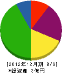 斎藤板金 貸借対照表 2012年12月期