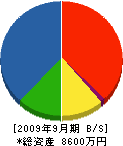 海栄電気 貸借対照表 2009年9月期