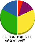 大阪コスモ 貸借対照表 2013年3月期