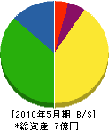 田村組 貸借対照表 2010年5月期