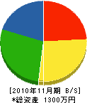 小島建設 貸借対照表 2010年11月期