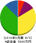 誠和建材工業 貸借対照表 2010年6月期 誠和建材工業 貸借対照表 2010年6月期