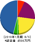 朝川産業 貸借対照表 2010年1月期
