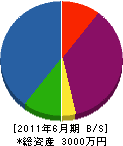 大嶋工業 貸借対照表 2011年6月期