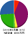 吉松電気工事 貸借対照表 2010年6月期