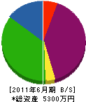 ヤマサ佐々木産業 貸借対照表 2011年6月期