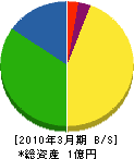 丸山電気工事店 貸借対照表 2010年3月期