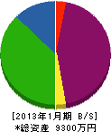 菅建材工業 貸借対照表 2013年1月期