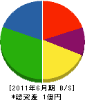 中村電工 貸借対照表 2011年6月期