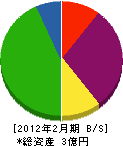 甚五郎商会 貸借対照表 2012年2月期