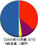 平田建築コンサルタント 貸借対照表 2009年10月期