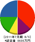 藤原商会 貸借対照表 2011年7月期
