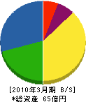 中電配電サポート 貸借対照表 2010年3月期