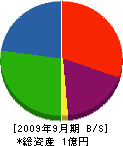藤川組 貸借対照表 2009年9月期