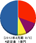 成島設備 貸借対照表 2012年4月期