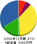 加賀不二ホームサッシ 貸借対照表 2008年12月期