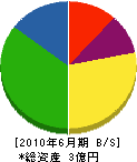 田村工業 貸借対照表 2010年6月期