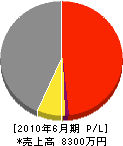 大窪組 損益計算書 2010年6月期