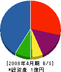 金子総業 貸借対照表 2008年4月期