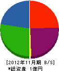 上田硝子店 貸借対照表 2012年11月期