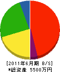 藤澤電設工業 貸借対照表 2011年6月期