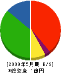 大島石材 貸借対照表 2009年5月期