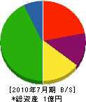 鳳栄商会 貸借対照表 2010年7月期