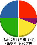 渡辺電工 貸借対照表 2010年12月期