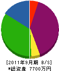 松島組 貸借対照表 2011年9月期