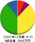 枝川電工 貸借対照表 2007年12月期