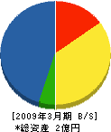 堀井商店 貸借対照表 2009年3月期