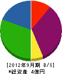 林総事 貸借対照表 2012年9月期