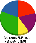 ジオメイク功明社 貸借対照表 2012年5月期