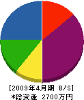 広島デイリーシステムズ 貸借対照表 2009年4月期